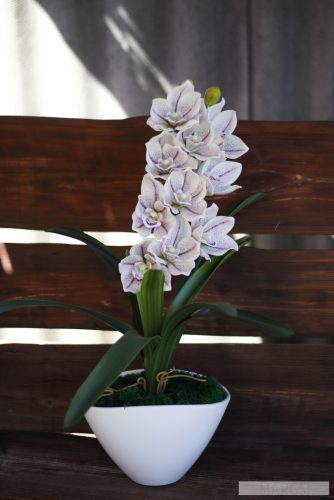 Elegancia orchidea kompozíció fehér kaspóban