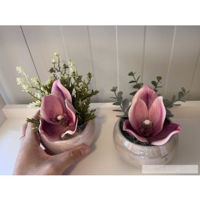 Orchidea virágfej
