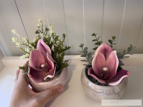 Orchidea virágfej